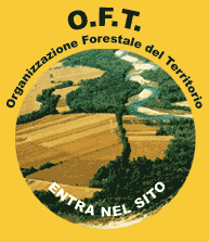 Progetto di Organizzazione Forestale del Territorio (O.F.T.)